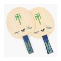Butterfly Timo Boll T5000