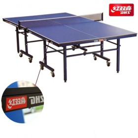 DHS T2123